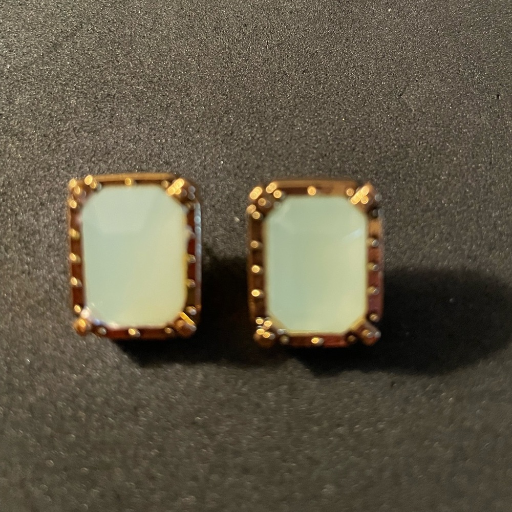 Jade Colored Earrings